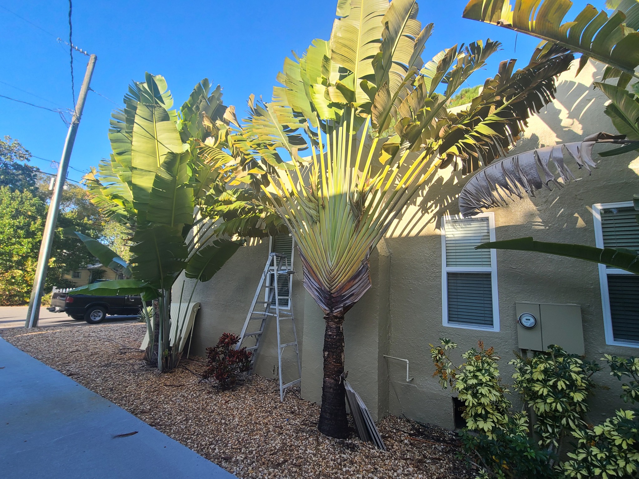 Old Town New Smyrna Beach exterior after painting photo 6
