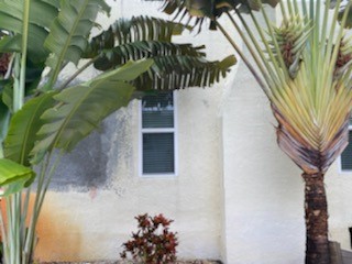 Old Town New Smyrna Beach exterior before painting photo 4