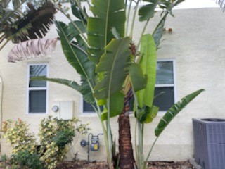 Old Town New Smyrna Beach exterior before painting photo 7